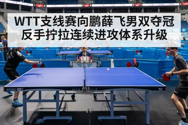 WTT支线赛向鹏薛飞男双夺冠 反手拧拉连续进攻体系升级